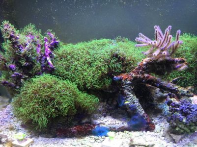 20 gal 12k bml 2-15.jpg