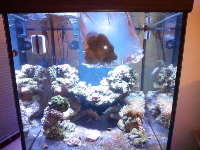 2015-12-17 19.27.41.jpg