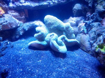 2015-12-17 20.41.23.jpg