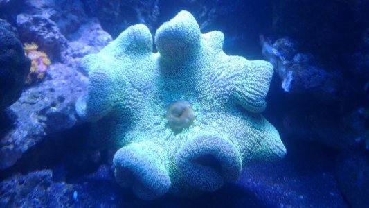 2015-12-17 21.08.12.jpg