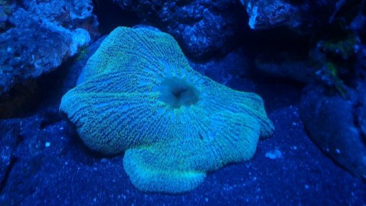 2015-12-17 22.47.54.jpg