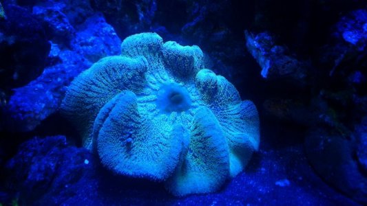 2015-12-18 09.14.55.jpg