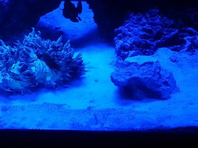 20151218_062059[1].jpg