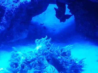 20151218_062053[1].jpg