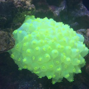 IMG_0592.jpg