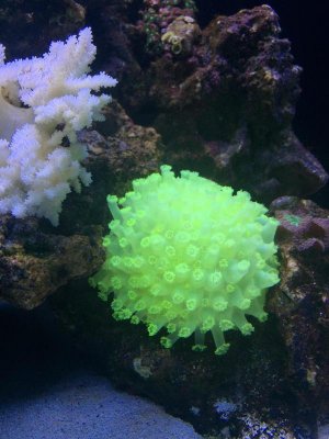IMG_0599.jpg
