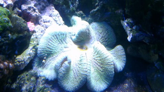 2015-12-18 18.24.41.jpg