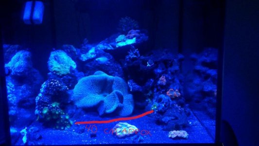 2015-12-18 22.57.59.jpg