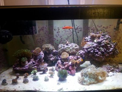 20151219_091955[1].jpg