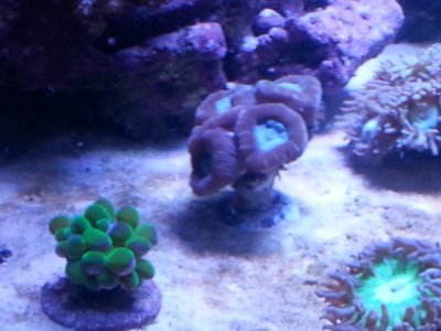 20151125_080320[1].jpg