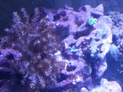 20151125_080315[1].jpg
