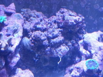 20151125_080311[1].jpg