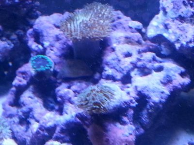 20151125_080308[1].jpg