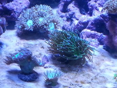 20151125_080304[1].jpg