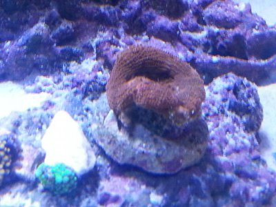 20151125_080248[1].jpg