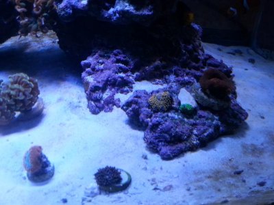 20151125_080240[1].jpg