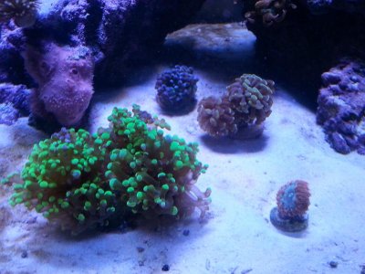 20151125_080236[1].jpg