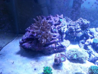 20151125_080209[1].jpg