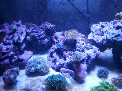 20151125_080206[1].jpg