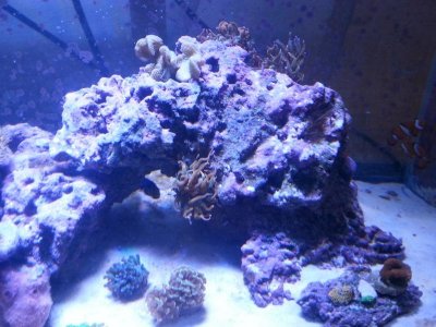 20151125_080202[1].jpg