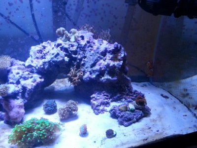 20151125_080151[1].jpg
