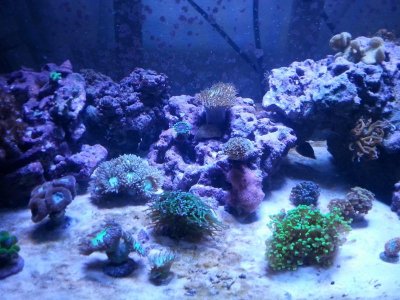 20151125_080146[1].jpg
