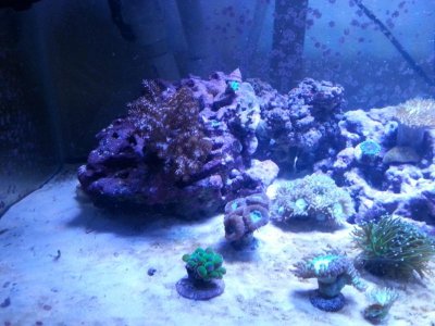20151125_080143[1].jpg