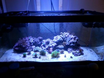20151125_080134[1].jpg