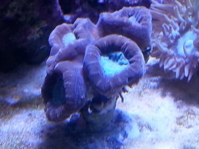 20151125_104049[1].jpg