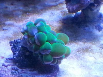 20151125_104046[1].jpg