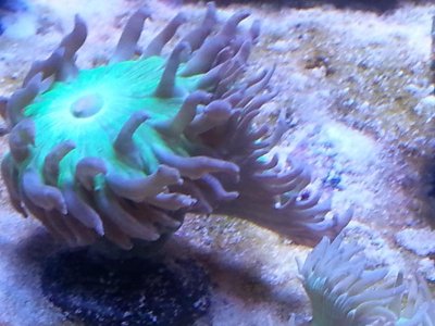20151125_104042[1].jpg