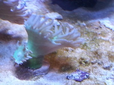 20151125_104037[1].jpg