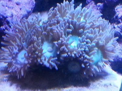 20151125_104030[1].jpg