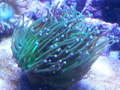 20151125_104021[1].jpg