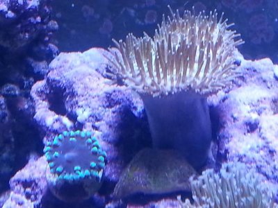 20151125_104010[1].jpg