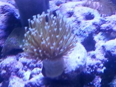 20151125_104006[1].jpg