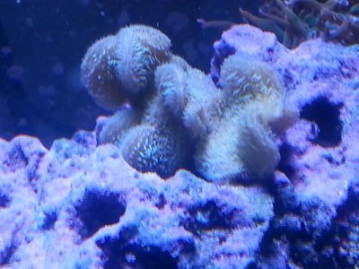 20151125_104001[1].jpg