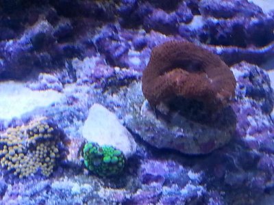 20151125_103957[1].jpg