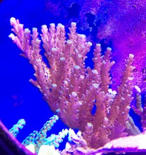 IMG_6904.jpg