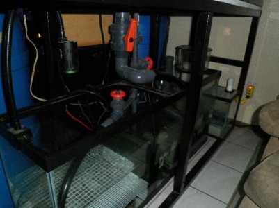 uploadfromtaptalk1450628431521.jpg