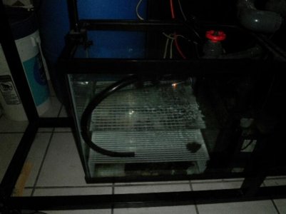 uploadfromtaptalk1450628462145.jpg