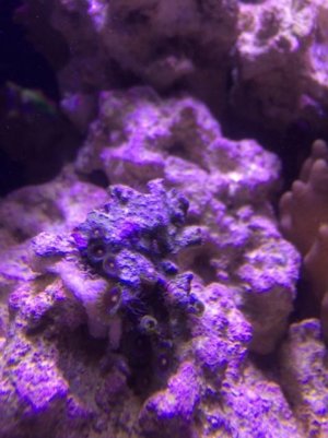 IMG_0008.jpg