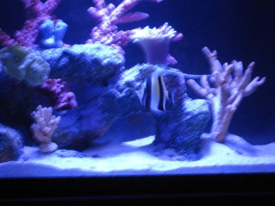 IMG_6741.jpg