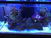 IMG_0270.JPG
