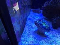 IMG_0271.JPG