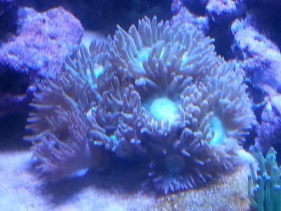 20151127_111504[1].jpg