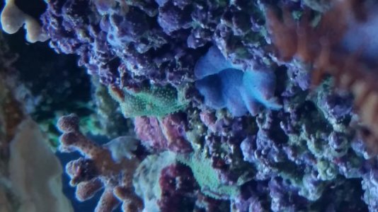 20151221_081159[1].jpg