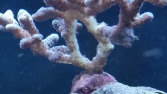 20151221_081206[1].jpg