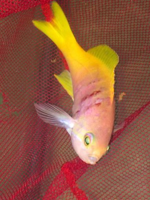 2015-11-27 16.26.11.jpg