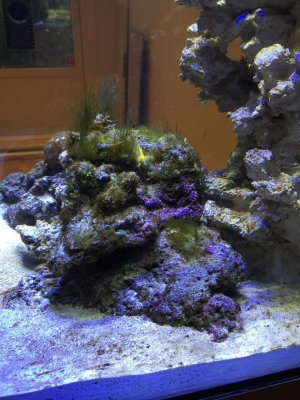 image_27792.jpg